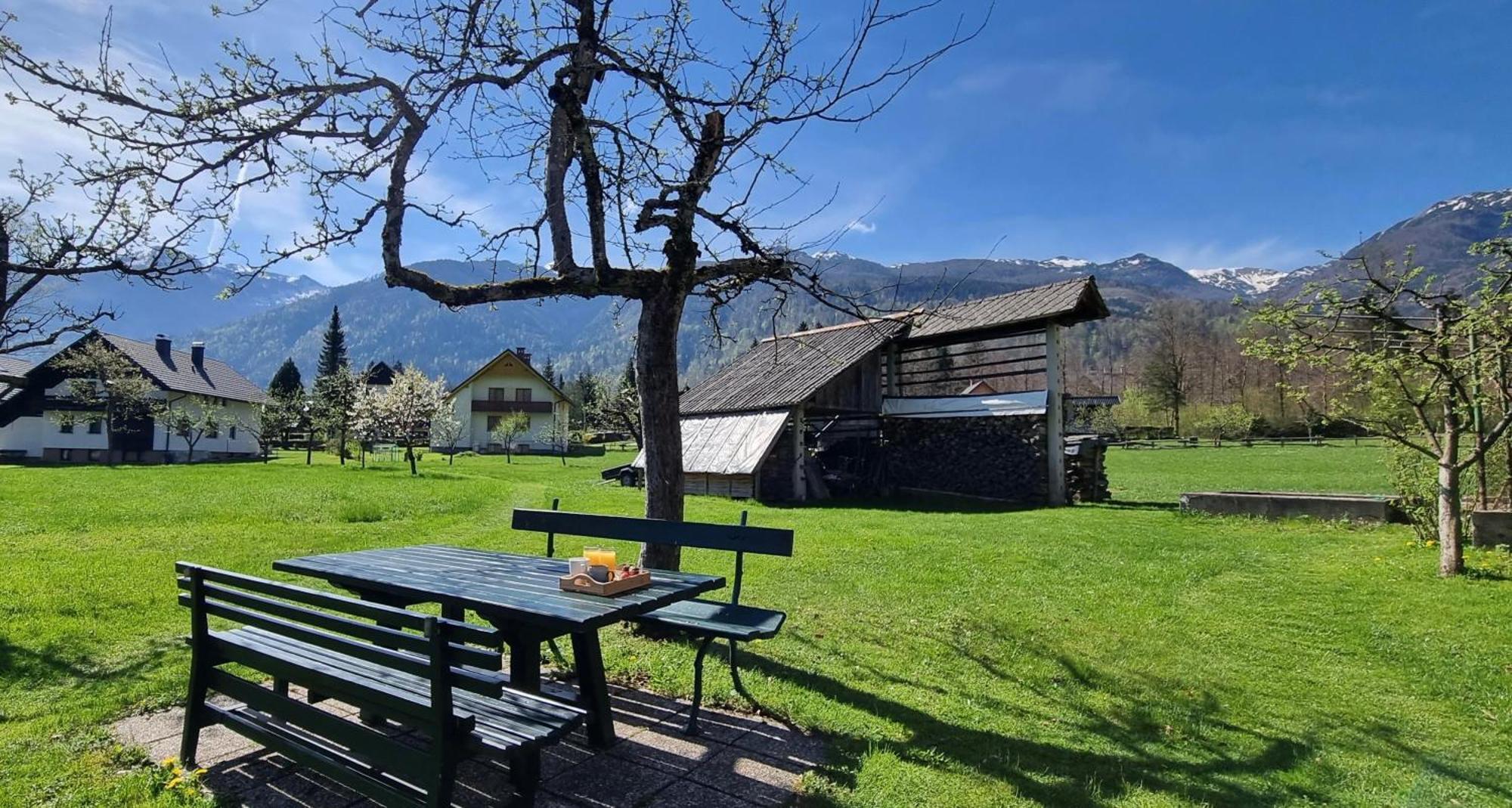 Apartments Skantar Bohinj Eksteriør bilde
